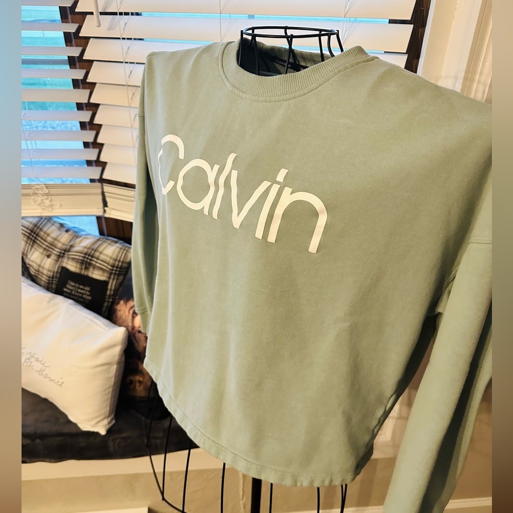 Size small / pale green Calvin Klein/ crop sweater